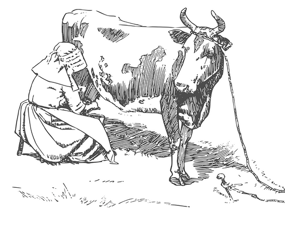 Ilustración mujer ordeñando una vaca