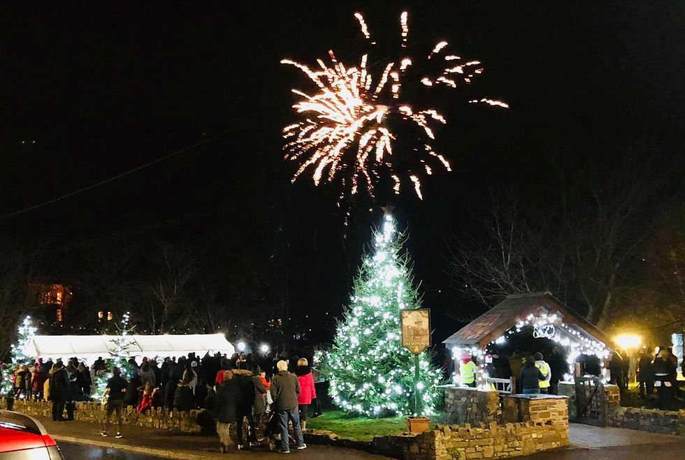 Christmas Lights Switch On
