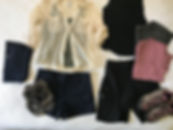fullsizeoutput_4cd.jpeg