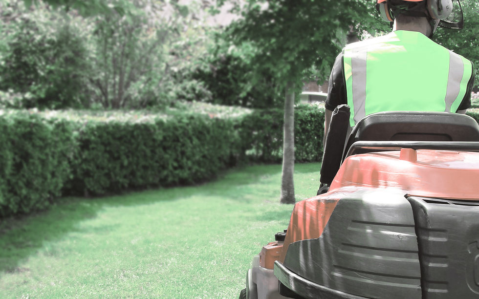 mower-min (1) (1).png