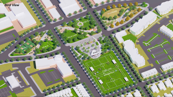 Bird View
