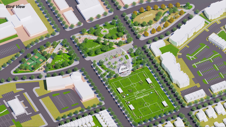 Bird View