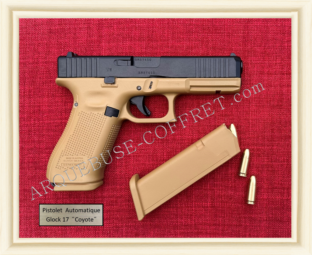 AP-G17 Coyote