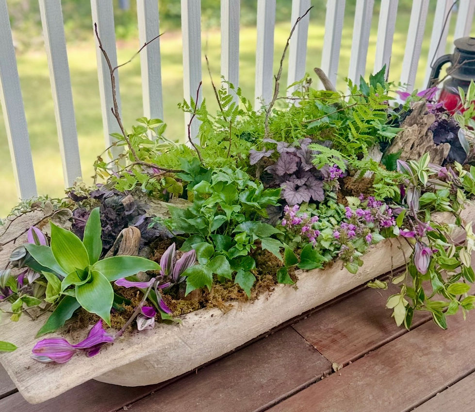 Planters4