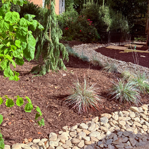 Colorful Garden Oasis