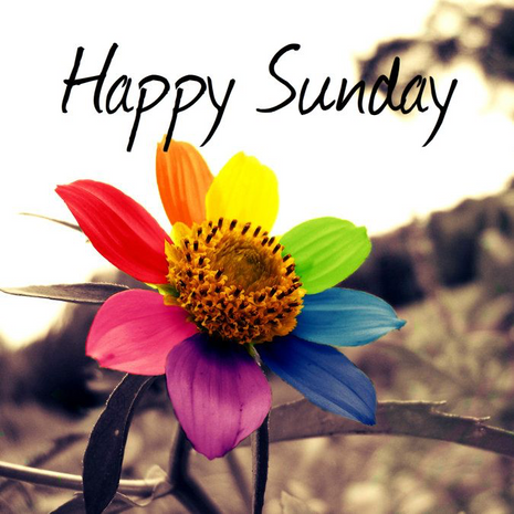 Happy Sunday🌻