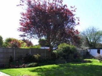 Committed Tree Surgeon, Enthusiastic and Knowledgeable.