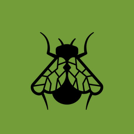 Entomología con Marta Isabel Wolff