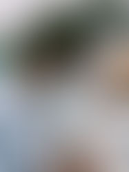 Los invitados de lujo de Balenciaga que opacaron las pasarelas