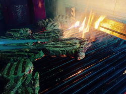 Never Stop Grilling
