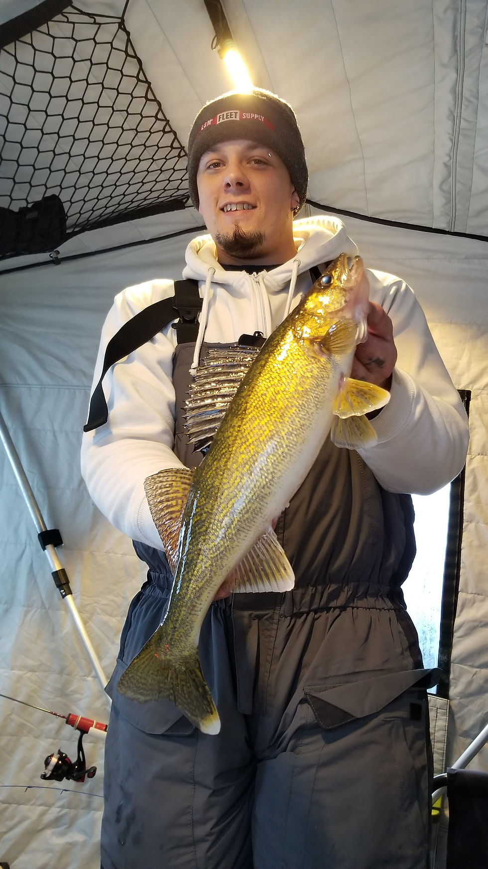 Thumbnail: "GAMEFISH SERIES"