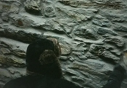 maçonnerie-mur-en-pierre-piron (1).webp