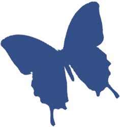 IP%20DBlue%20BFly%20(1)_edited.png
