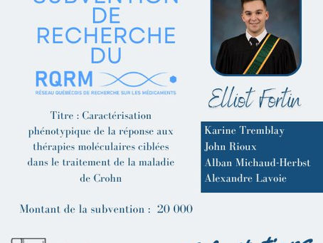 A major breakthrough: our research project receives a grant!