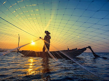 brazil fisheries.jpeg