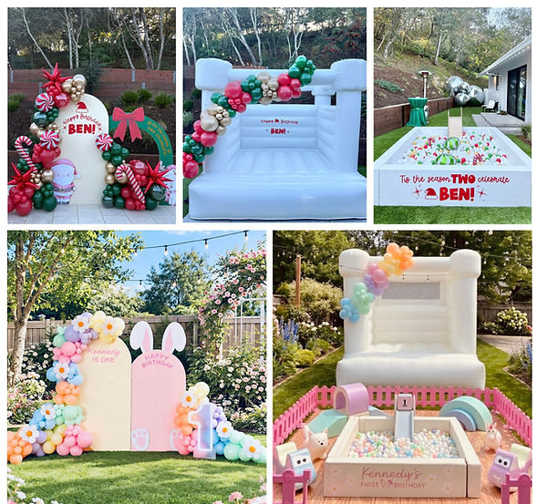 bay area ball pit rental.jpeg