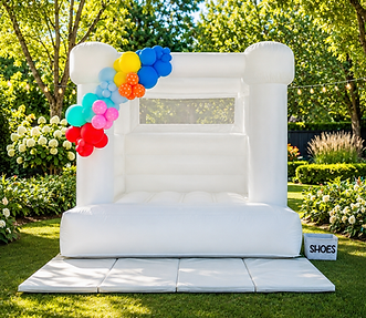 bay area ball pit rental.jpg