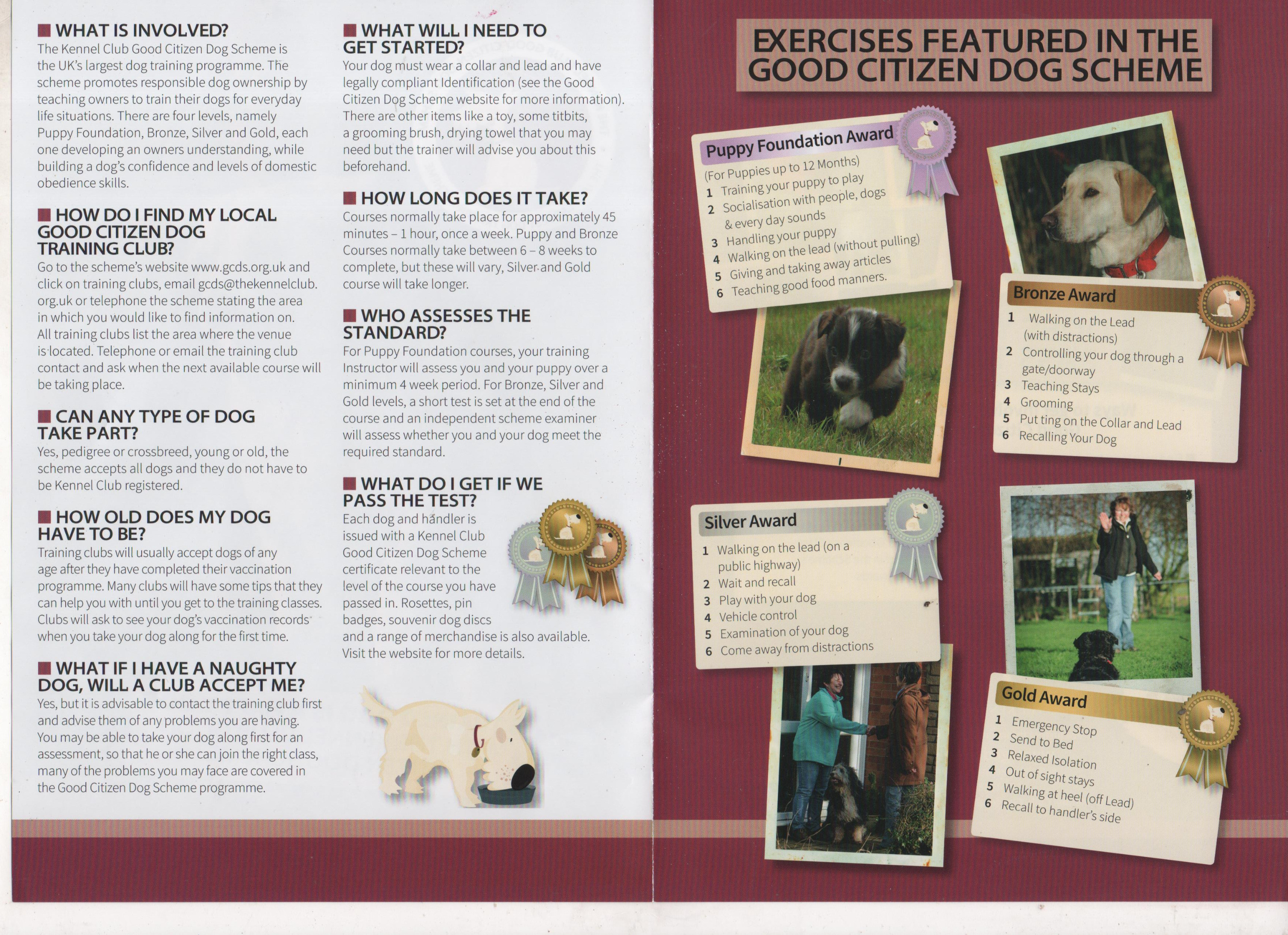 Dog Training Kennel Club Awards Kennel Club Good Citizen Puppy 2025