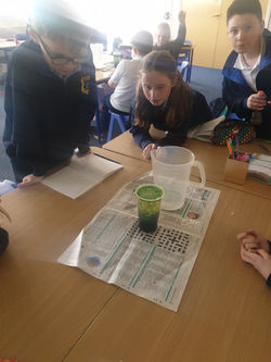 Science Week Photo 6