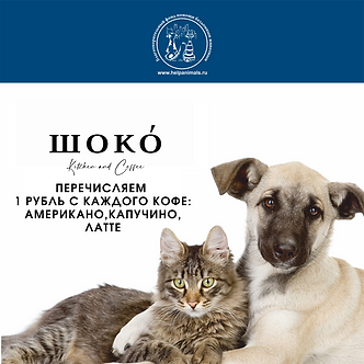 Дизайн без названия (1).png