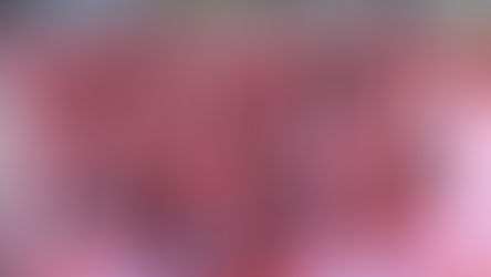 Cycling Santas '25 bring joy and safety in numbers