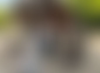 愛知・名古屋第１・第２教区　合同清掃奉仕活動