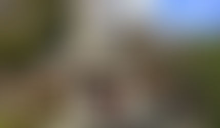 関西ブロック　年始立哨（りっしょう）奉仕