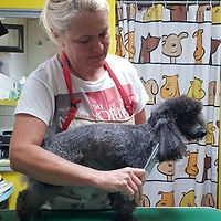 108218601_884641575361214_33903160086171