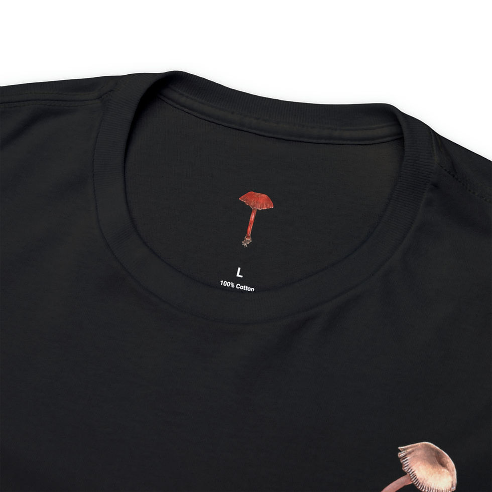 Thumbnail: The Deceiver_Unisex Heavy Cotton Tee