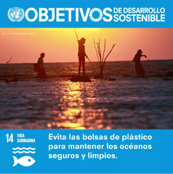 Conservar y utilizar en forma sostenible