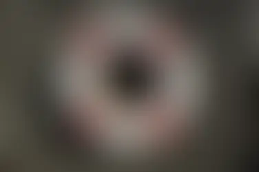 5 Reasons to Become an Organ Donor