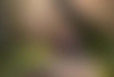 Celebrate Sunshine on the First Day of Spring Hero