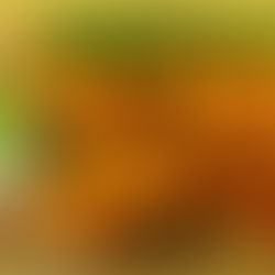 Cornflour Coated Fried Prawns Recipe