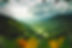 pierre-chatel-innocenti-Lk-nu_hX6ms-unsplash 2.png