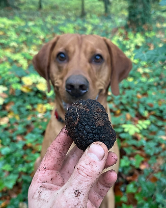 Ben holding truffle with Buddy in the background.png