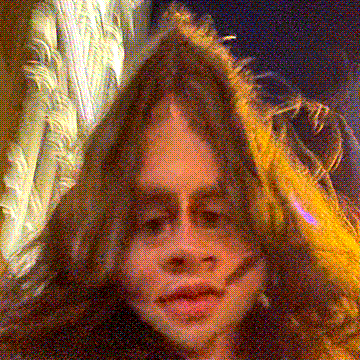 Untitled-1.gif