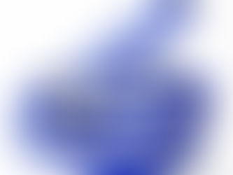 Biothane Leashes:  Pros and Cons