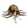 Dog wearing spider costume