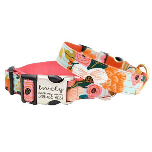 Lively mint voile dog collar