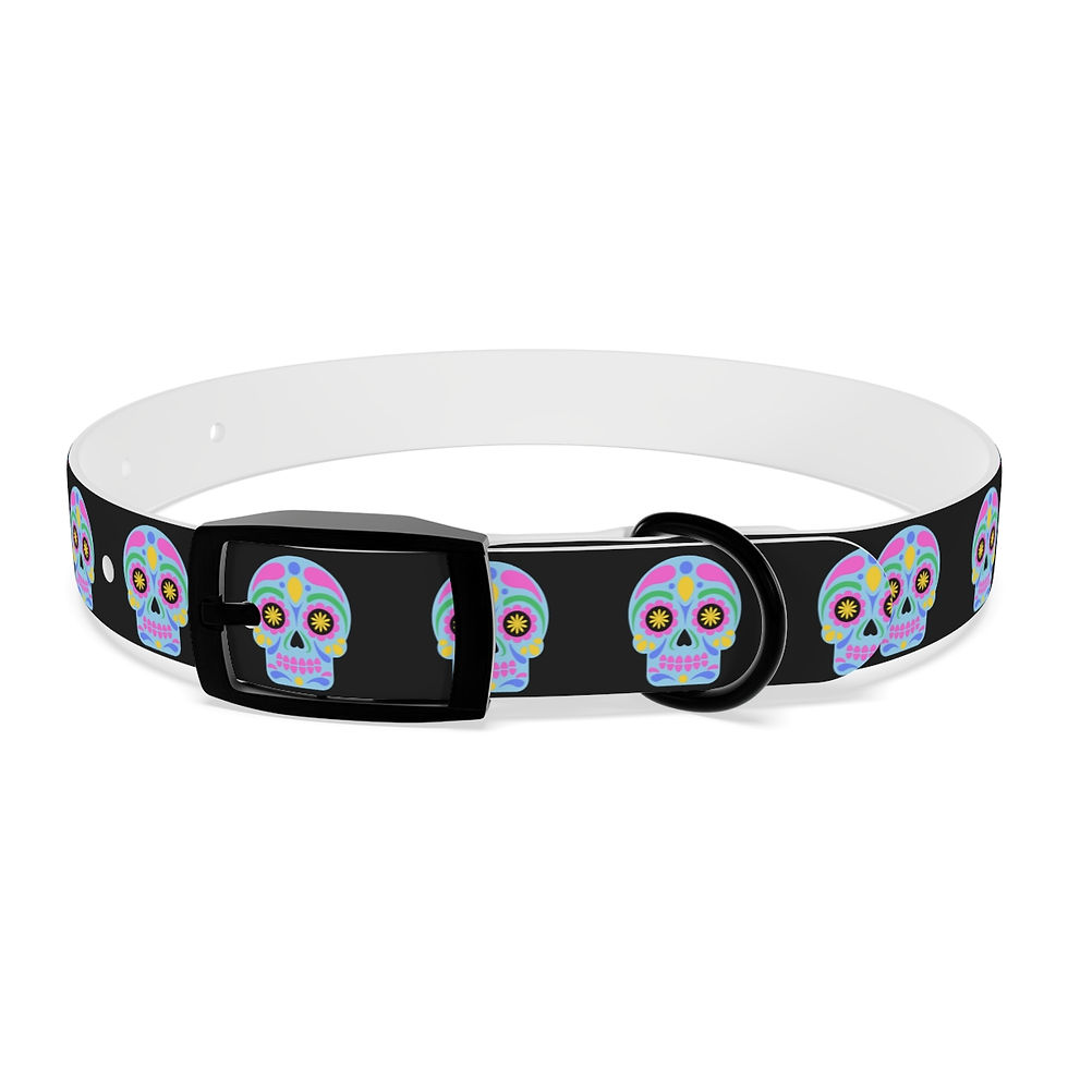 Front view of skulls hypoallergenic dog collar