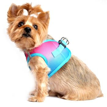 Dog wearing American River Choke Free dog harness