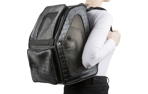 Thumbnail: Rio Airline approved dog carrier being carried as a backpack