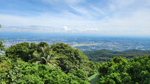 A long overdue beginning