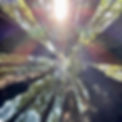 AC8FE3EF-9D3C-436A-963E-53500946368A.jpeg