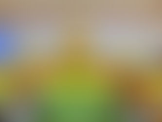 泰国沙功府僧侣的佛学二级和三级培训班已开课。