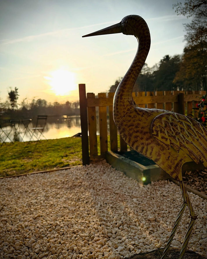 heron 1.jpg