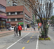 Ciclorruta Cra 13