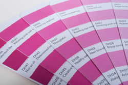 Detailed Swatch Book