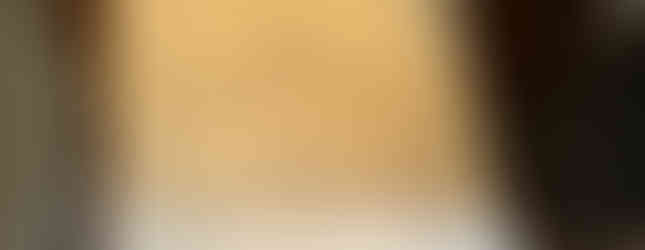 Village Restaurant menu