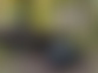 2018 Volvo V60 Cross Country T5